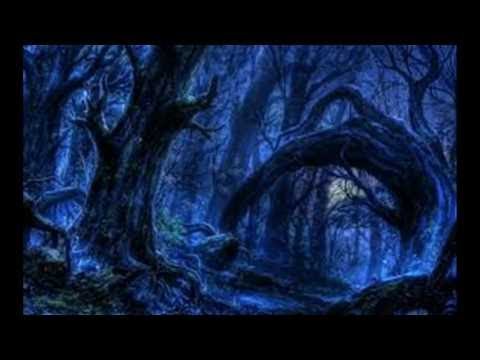 DER TOTE IM WALD Hörspiel Krimi deutsch german Audiobook