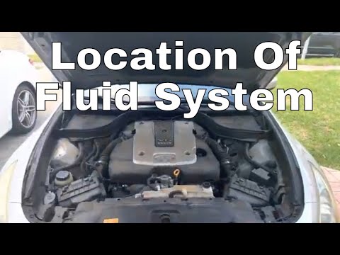 Infiniti G37 Under The Hood Fluid System Locations (Oil, Power Steering, Brake, Coolant, etc...)