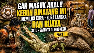 Download lagu IT'S INSANE! THIS ZOO HAS A RARE TORTOISE AND THE ONLY CROCODILE OF ITS KIND IN INDONESIA mp3 Download lagu IT'S INSANE! THIS ZOO HAS A RARE TORTOISE AND THE ONLY CROCODILE OF ITS KIND IN INDONESIA mp3
