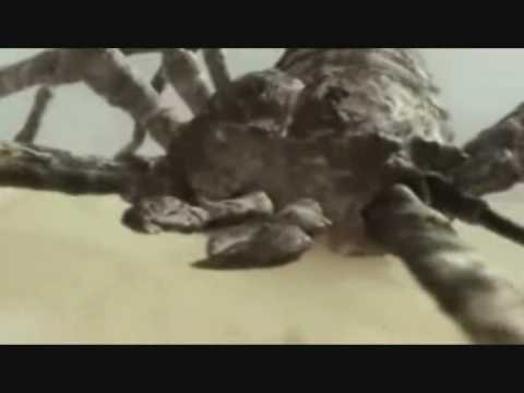 Primeval Series 2 Episode 5 Tribute