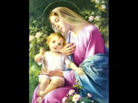 Los peces en el rio - Villancicos de navidad