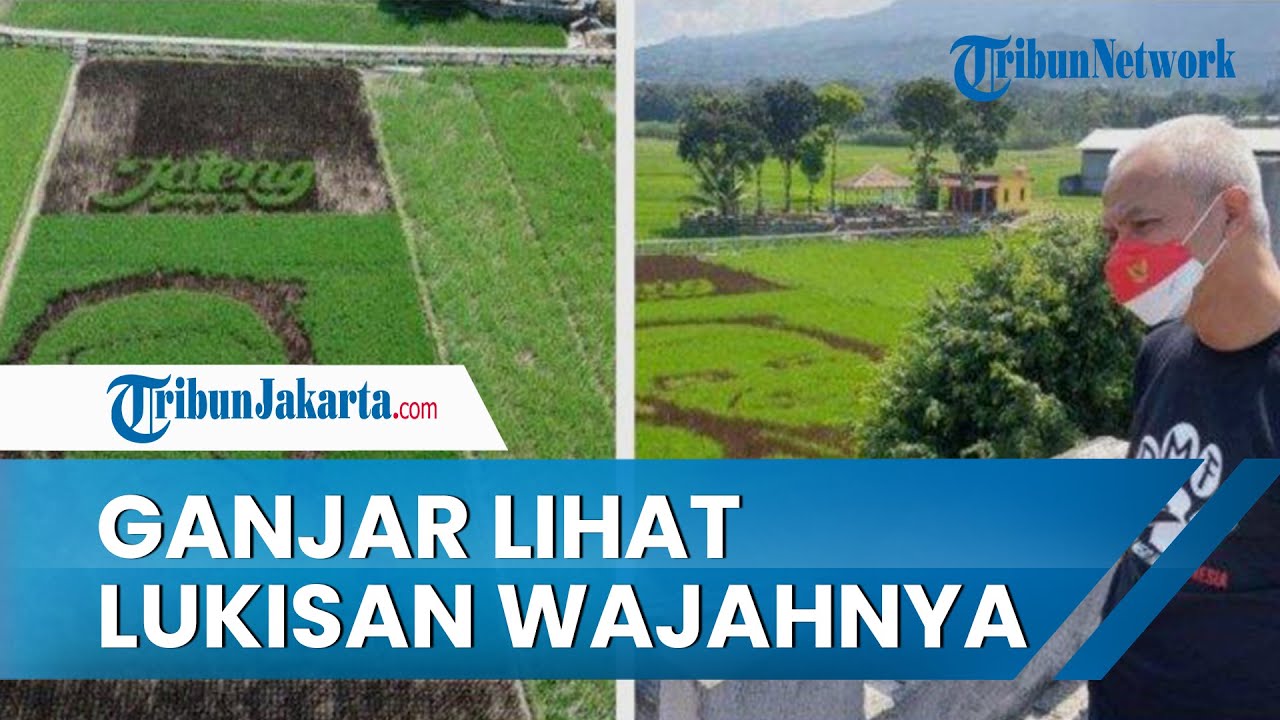 Ganjar Pranowo Lihat Lukisan Wajahnya di Tengah Sawah, Kagum dengan