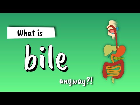 Bile Explained