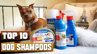 Best Dog Shampoos in 2026(Top 10 Picks)