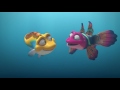 Splash And Bubbles Now At Newport Aquarium