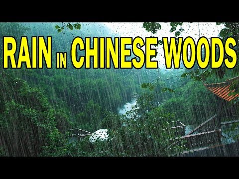 🎧 RAIN IN CHINESE WOODS | Ambient Noise For Relaxation, Sleep, Studying, @Ultizzz day#38