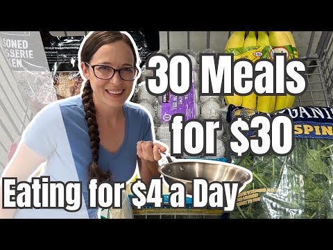 $30 Costco Haul for 7 Days of Meals | Emergency Grocery Budget | Single Person Meal Plan