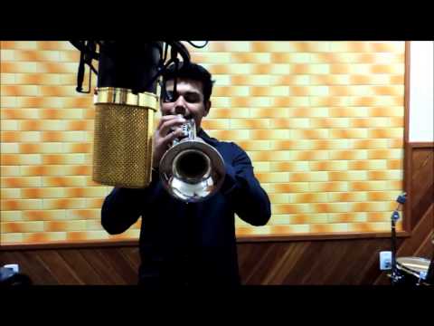 Luiz Alves | Arde outra vez (trompete)