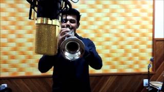 Luiz Alves | Arde outra vez (trompete)