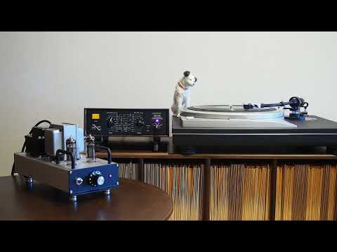 My Blue Days Blew Over / Eubie Blake and his Orchestra