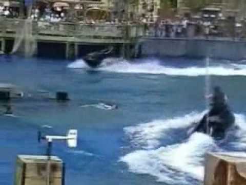 Thumbnail for Arma Letal live Stunt show by Roger jose