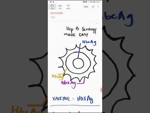 Hepatitis B serology made easy