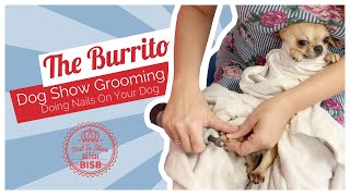 Dog Grooming: How To Trim Nails On A Difficult Dogs