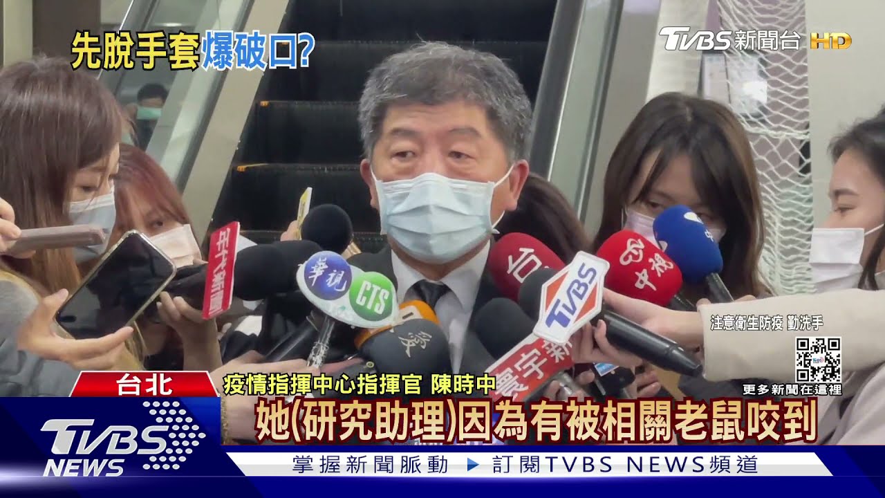 不符SOP! 陳時中:女遭鼠咬「先脫手套才脫衣」