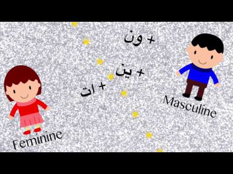 Plurals in Arabic