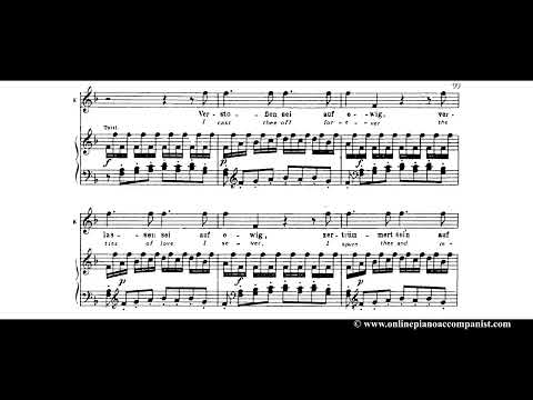 Queen of the Night aria - Mozart - Piano accompaniment