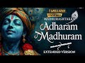 Adharam Madhuram Lofi Krishna Bhajan Bhakti Song Bhajan Song Madhurashtakam