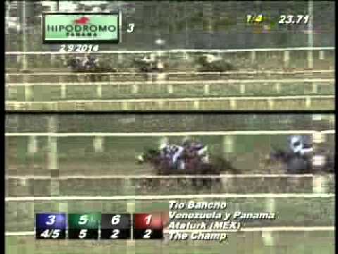 3RA CARRERA DOMINGO 9 DE FEBRERO DEL 2014 H P R