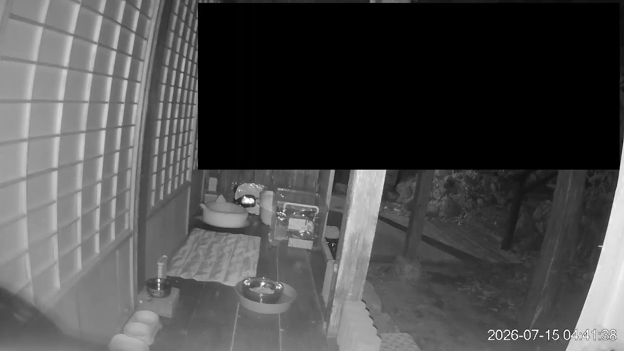 Live webcam view of Gato del Café Cahaya Bulan