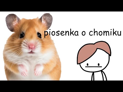 piosenka o chomiku