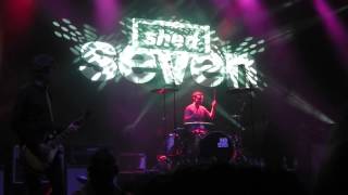 Shed Seven - Devil In Your Shoes