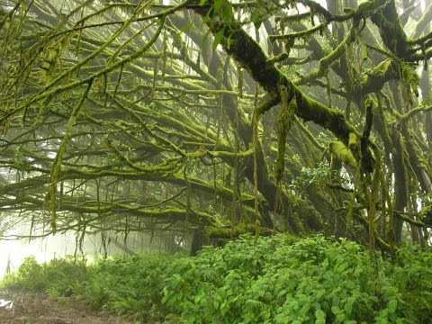 Ascension Island – supplying the garrison