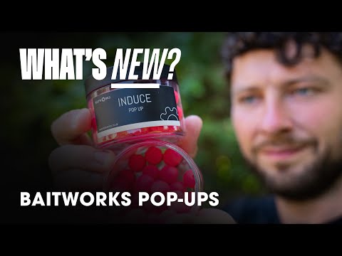 CARP FISHING REVIEW - INDUCE POPUPS