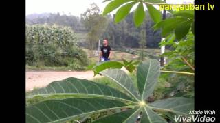 Download lagu yosie lucky kerinduan. mp3