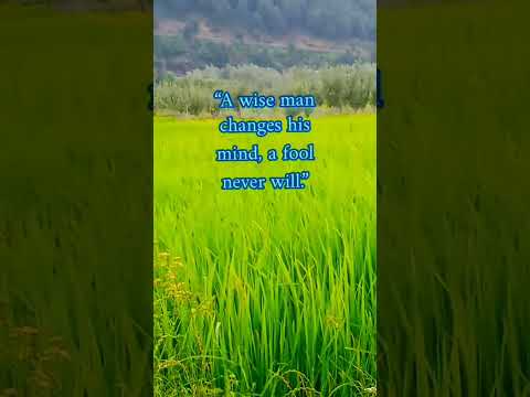 Life Changing Quotes, A Wise Man.... #viral #quotes #life #fadel