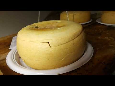 Casu Marzu -  Video HD