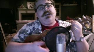 The Idiots are Taking Over - Ukulele NOFX cover