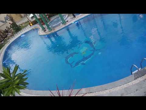 Những hình ảnh hồ bơi đẹp và độc đáo