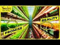 Why Vertical Farms WORLDWIDE Are FAILING!