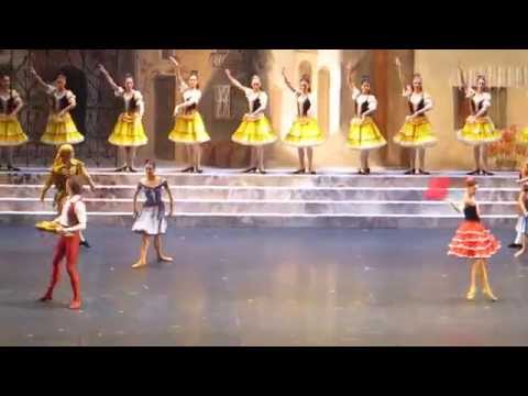 Erika Mikirticheva / Sergei Polunin - Don Quixote 14.02.2014