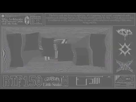 Little Snake - 'RTF150 (feat. Cerdin)' (Official Audio)