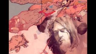 Robin Pecknold - Olivia, In A Separate Bed