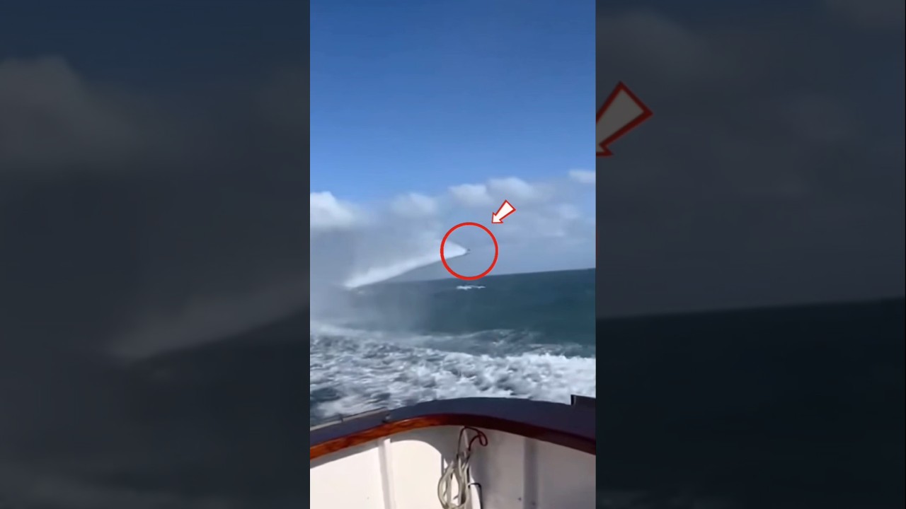 This fish doesn't swim... it shoots! 😳🚀
