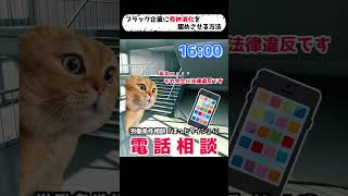 【猫ミーム】ブラック企業に有休消化を認めさせる方法【実話】 #猫ミーム #猫マニ #catmemes #猫ミーム日常 #社畜 #shorts