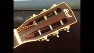 Video thumbnail for Blues Tune with Cort Parlor L900P by isonsov
