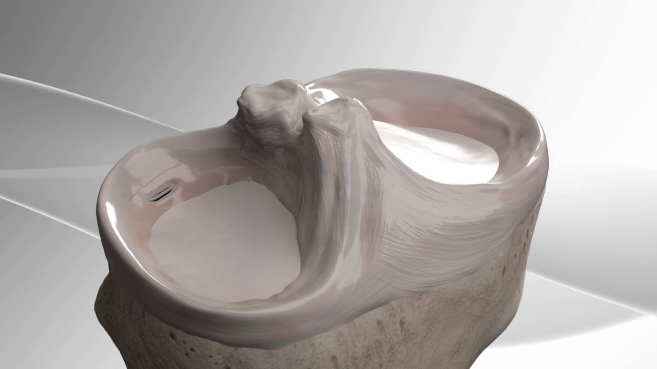 Alejandro Abner Barragán López-21