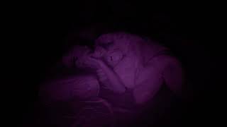 I slept 11 hours!  Do I talk in my sleep?  ✨