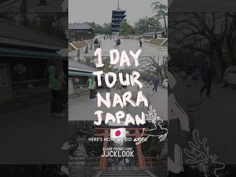🇯🇵 Our 1-DAY Tour in NARA, JAPAN 🦌 coming from Osaka