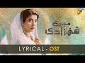 Meri Shehzadi Lyrical Ost Singer Asim Azhar HUM TV