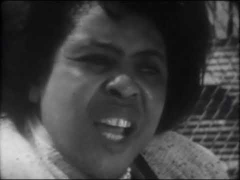 The Negro Voter (1964)