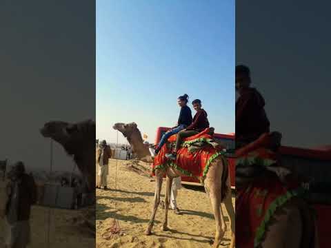 Camel ride at jaislamer || dhora wale jahaj