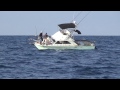 Big Game Fishing Kroatien - Angeln auf Thunfisch