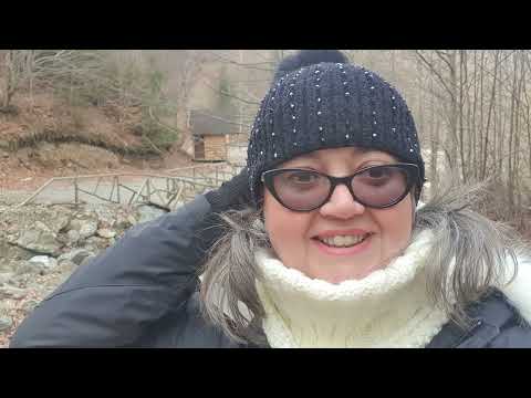 Drumul spre Cascada Scorus, Muntii Capatinii, Valcea