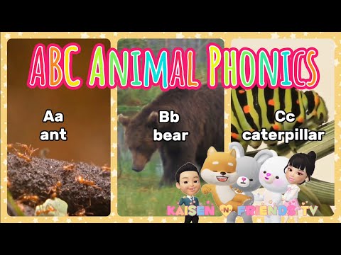 WATCH FULL-MOTION VIDEOS OF REAL LIFE ANIMALS and LEARN ABC Phonics! Ant, Bear, Caterpillar & MORE