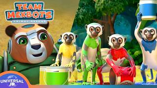 Flying Colors & Other Adventures | TEAM MEKBOTS ANIMAL RESCUE