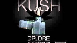 Dr. Dre Ft. Snoop Dogg, Game &amp; Akon - Kush (Remix)2010